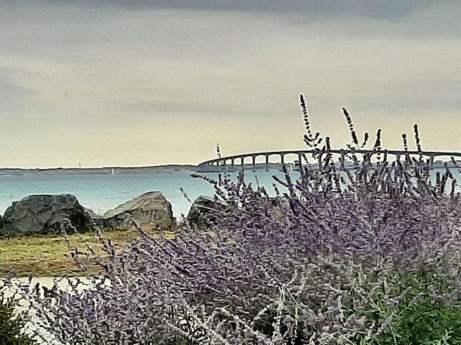 Delicieux Moment De Detente Au Coeur De Saint Martin De Re Eksteriør billede