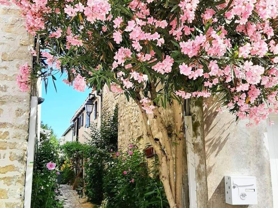 Delicieux Moment De Detente Au Coeur De Saint Martin De Re Eksteriør billede
